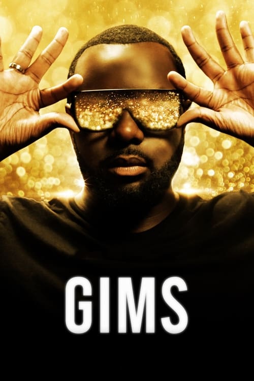 thumb GIMS: On the Record